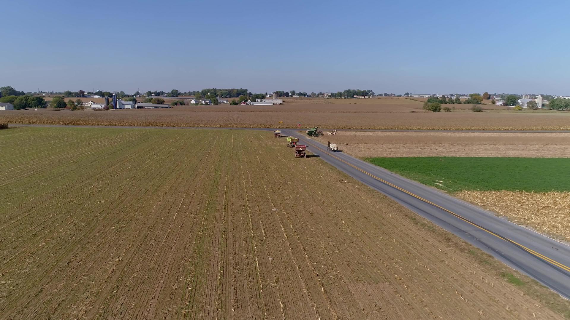 秋天阳光明媚的航拍农场收获玉米视频的预览图