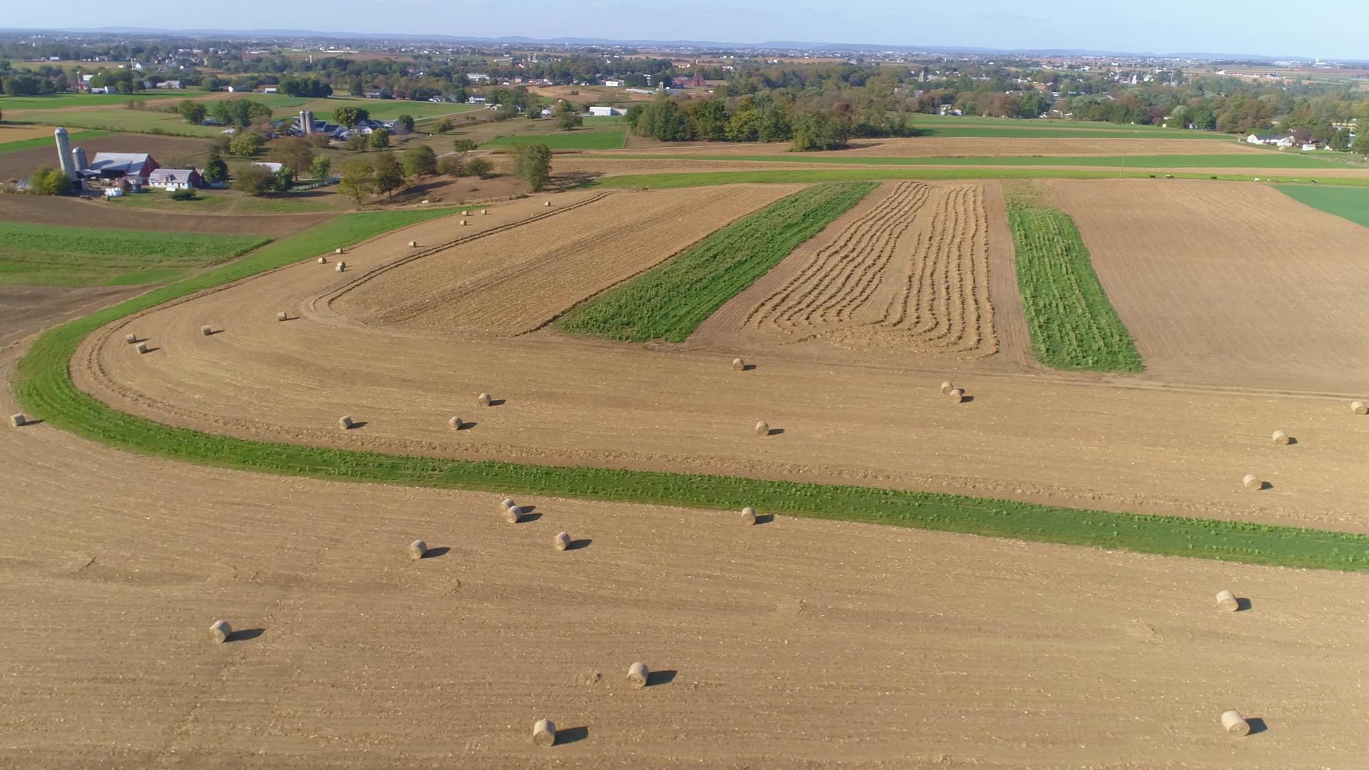 在阳光明媚的秋天玉米田、滚动玉米茎和阿米什农场被收获视频的预览图