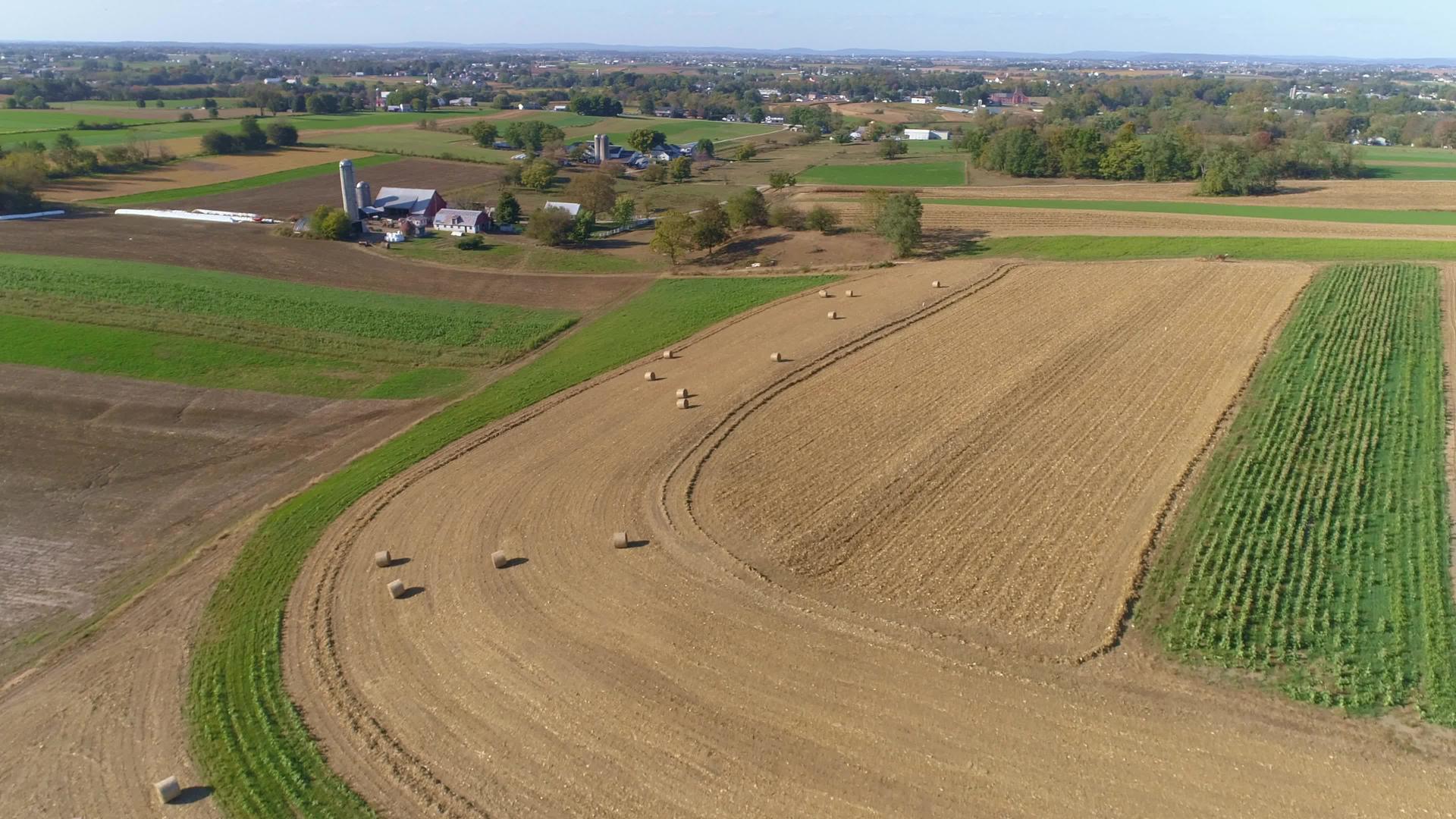在阳光明媚的秋天玉米田、滚动玉米茎和阿米什农场被收获视频的预览图