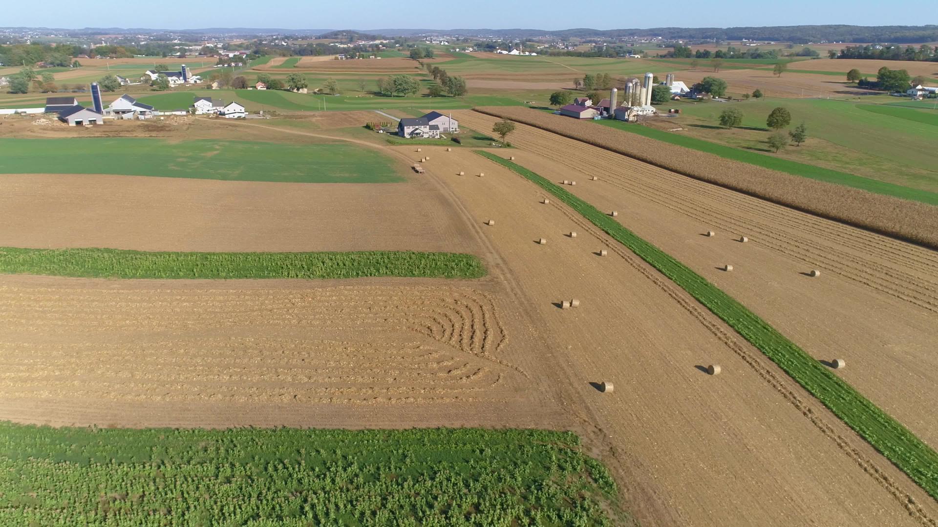 在阳光明媚的秋天收获玉米田视频的预览图