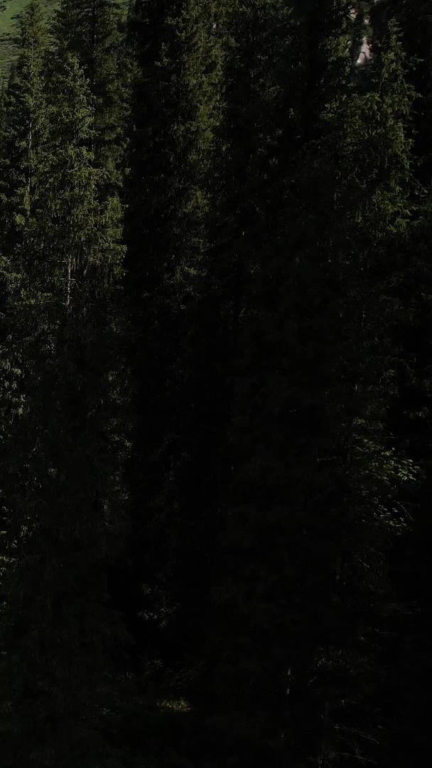 伊犁昭苏夏塔国家森林公园航拍4A视频的预览图