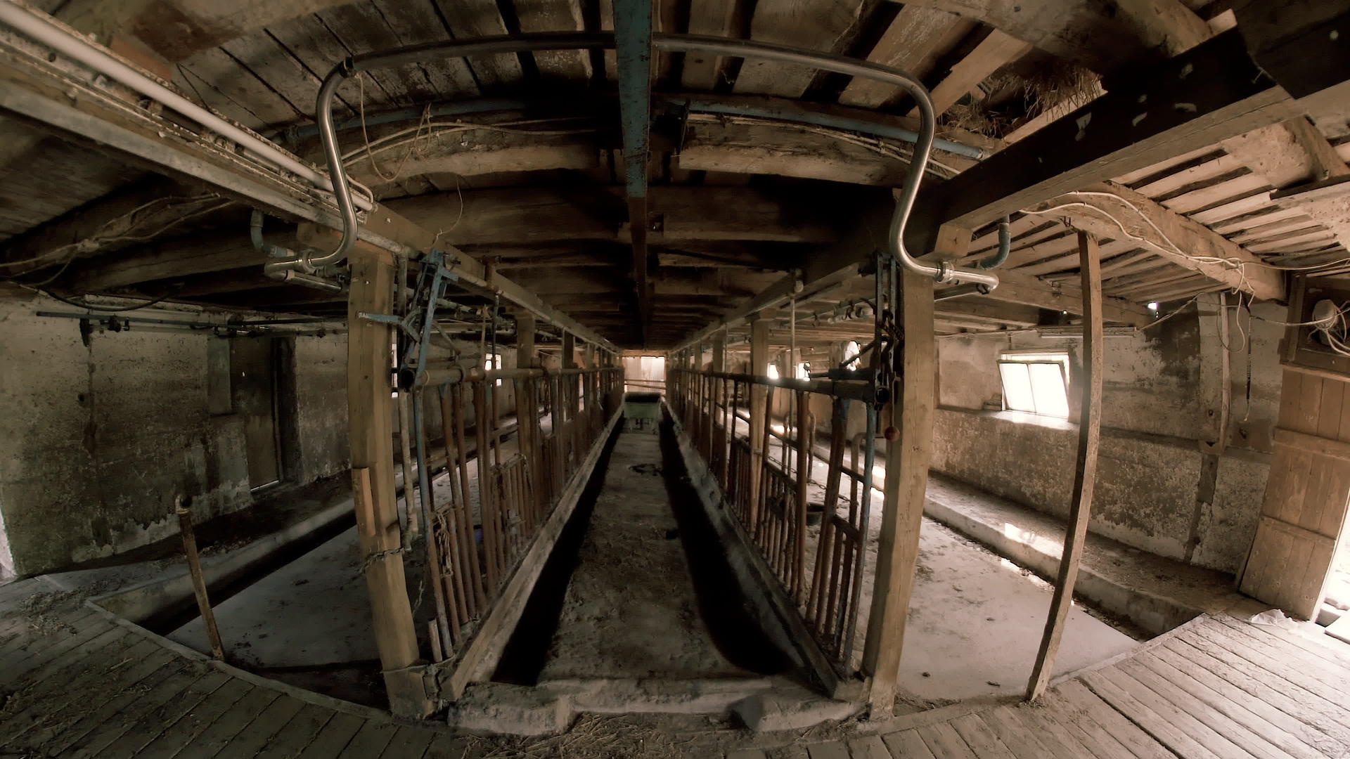 令人毛骨悚然的动物谷仓地牢视频的预览图
