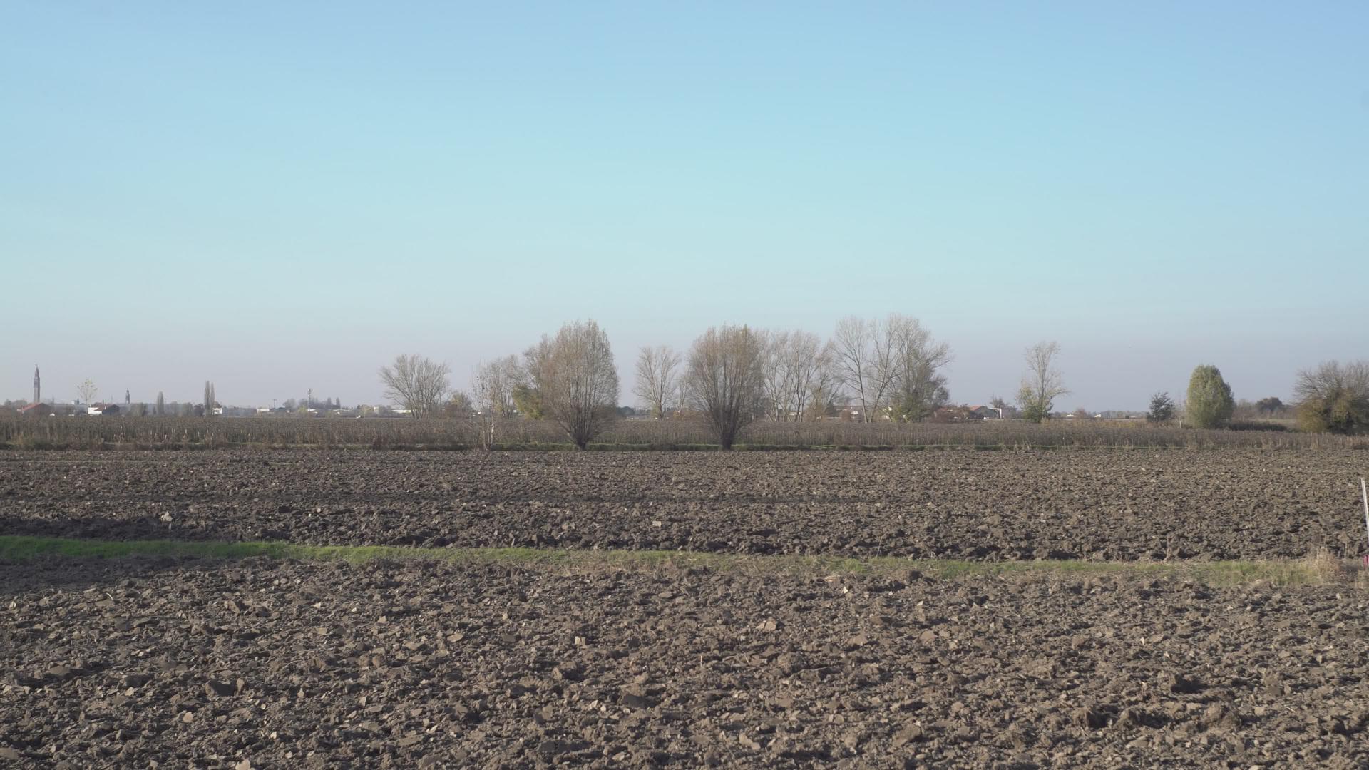农村冬季地貌视频的预览图