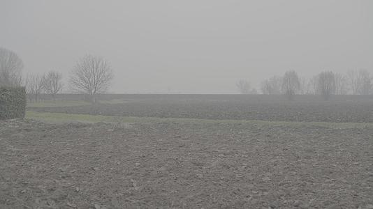 充满雾的乡村风光视频的预览图