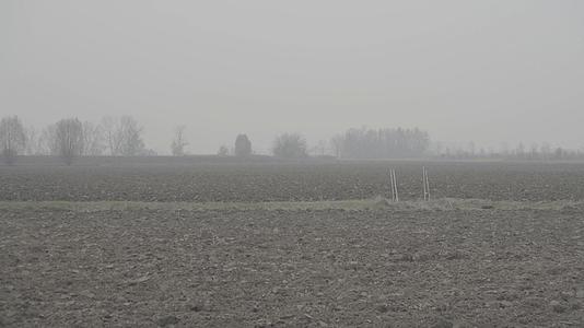 乡村风景带雾雾2视频的预览图