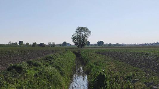 意大利农村灌溉排水沟用于灌溉视频的预览图