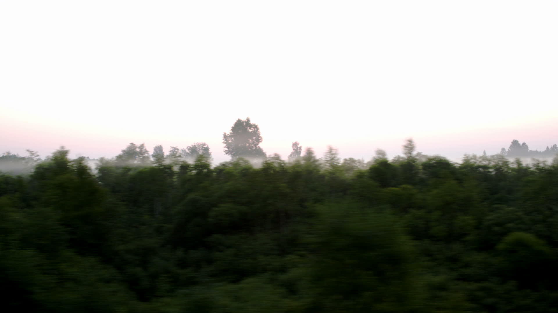 在迷雾中穿过乡间视频的预览图