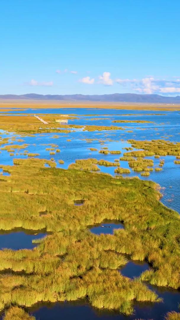 若尔盖花湖生态旅游区航拍视频的预览图
