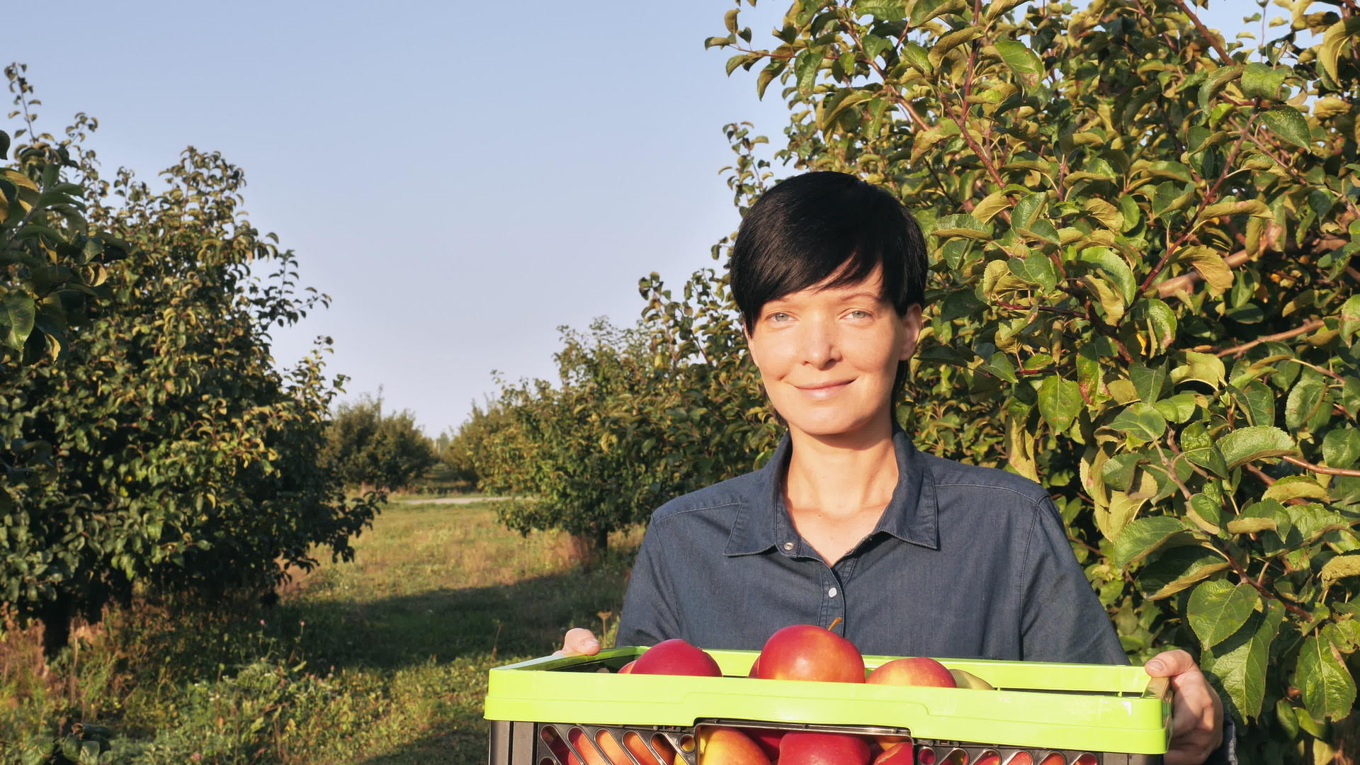 女性水果种植户户外肖像视频的预览图