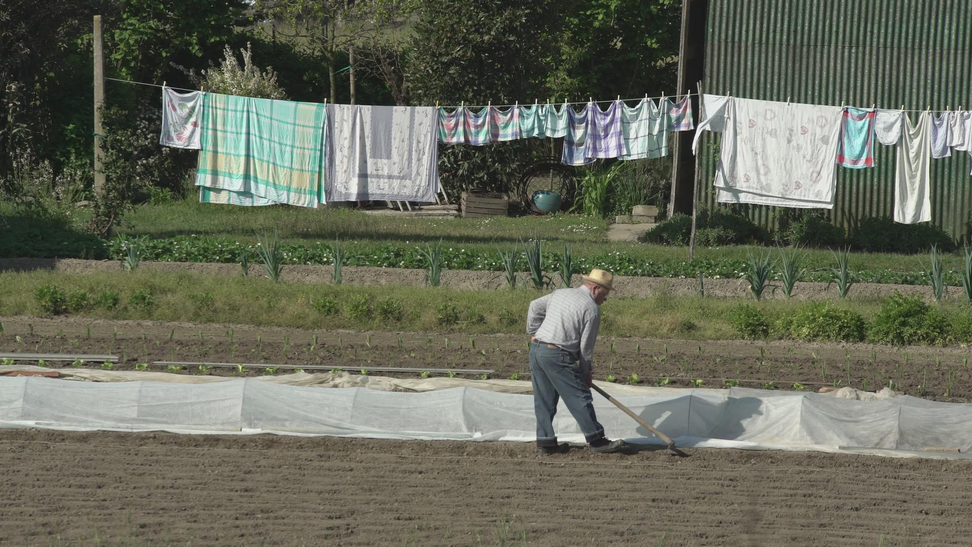 老农民在田间工作2视频的预览图