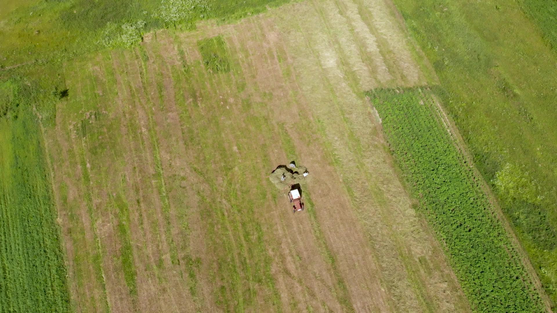 农民堆干粉红色拖拉机在高角空中射击视频的预览图