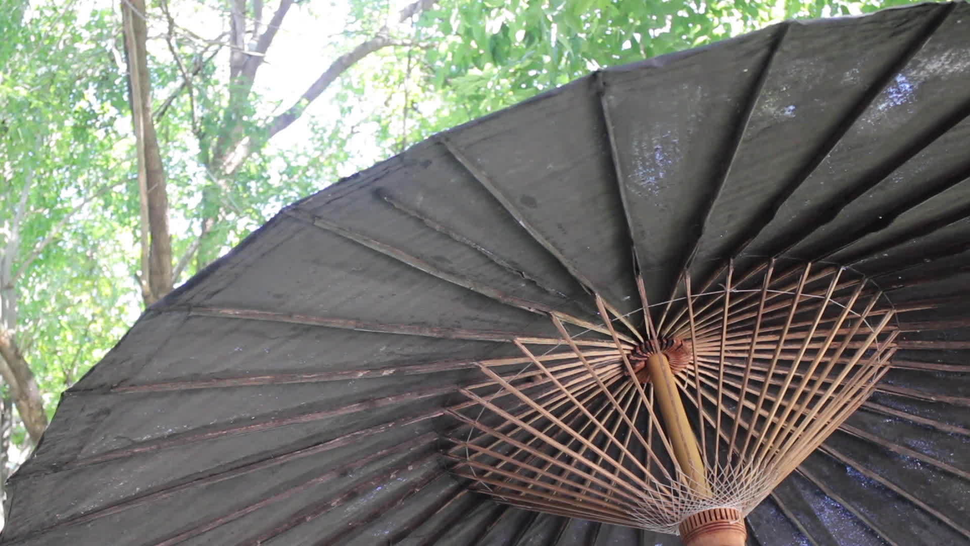 花园里的户外雨伞视频的预览图