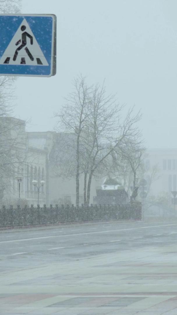 冬季大雪天气街头行人视频的预览图