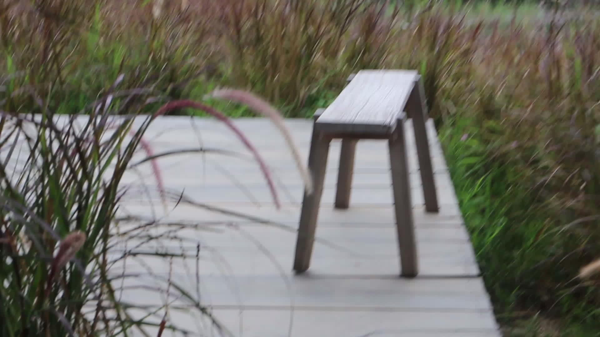 在花园里放松的座位视频的预览图