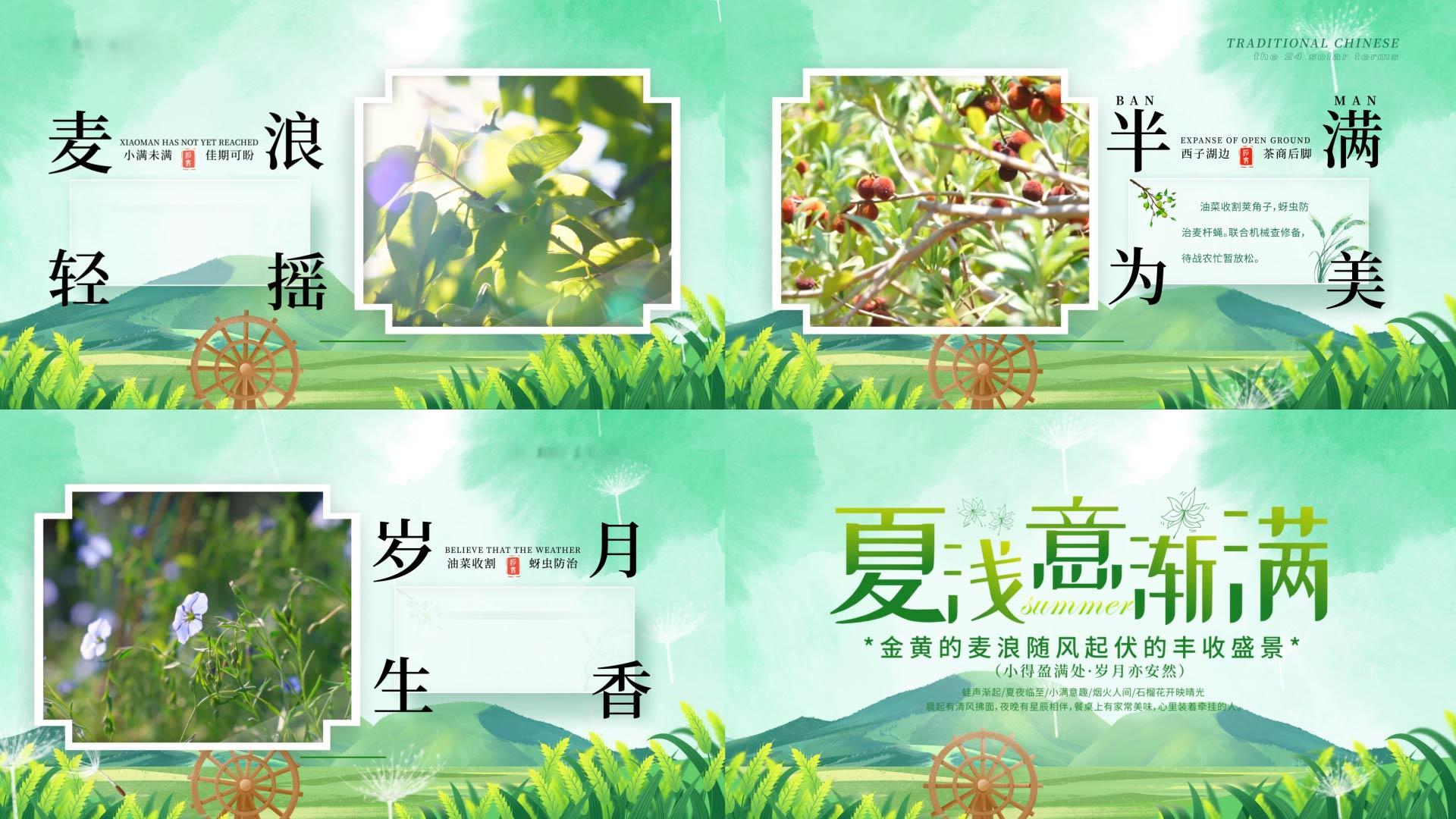 简洁小满节气图文展示AE模板视频的预览图