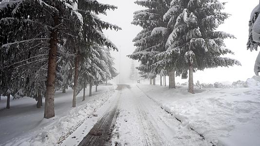 冬季穿透常青山松树林浓密的雪路视频的预览图