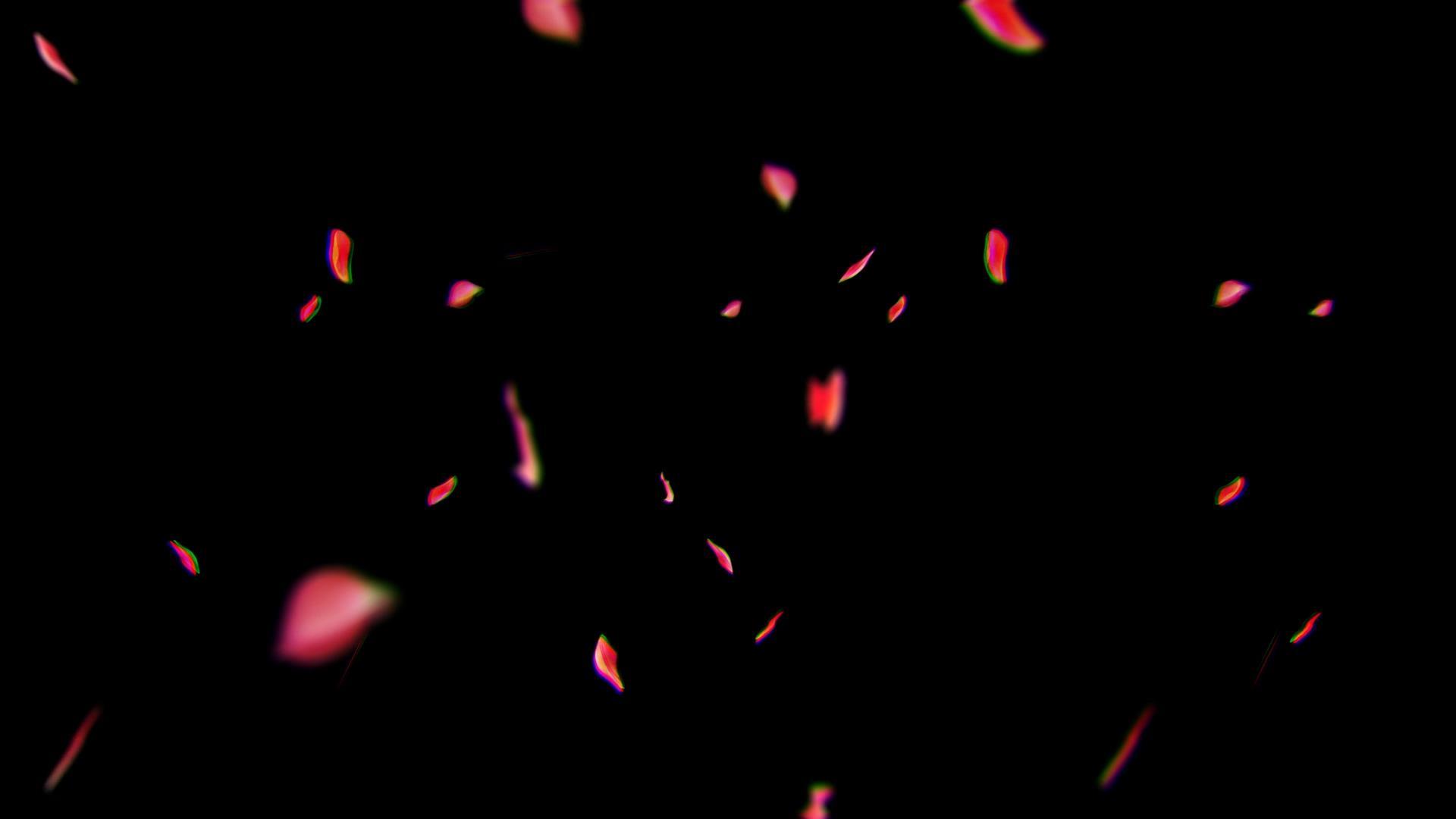 花瓣飘动透明背景动态元素视频素材视频的预览图