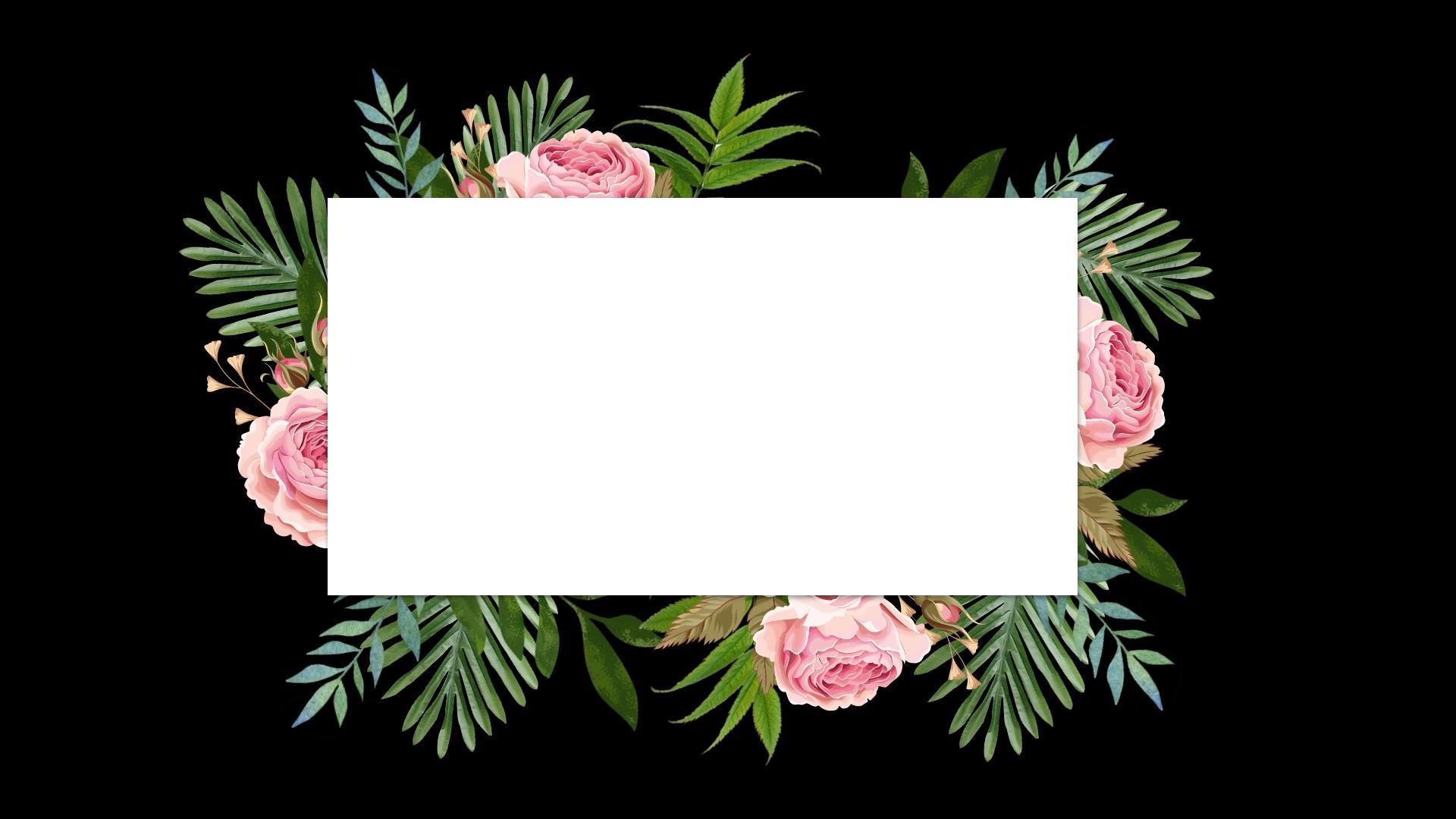 清新边框相框花草树叶透明背景视频元素视频的预览图