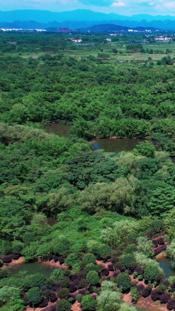 桂林会仙喀斯特国家湿地公园景区航拍视频的预览图