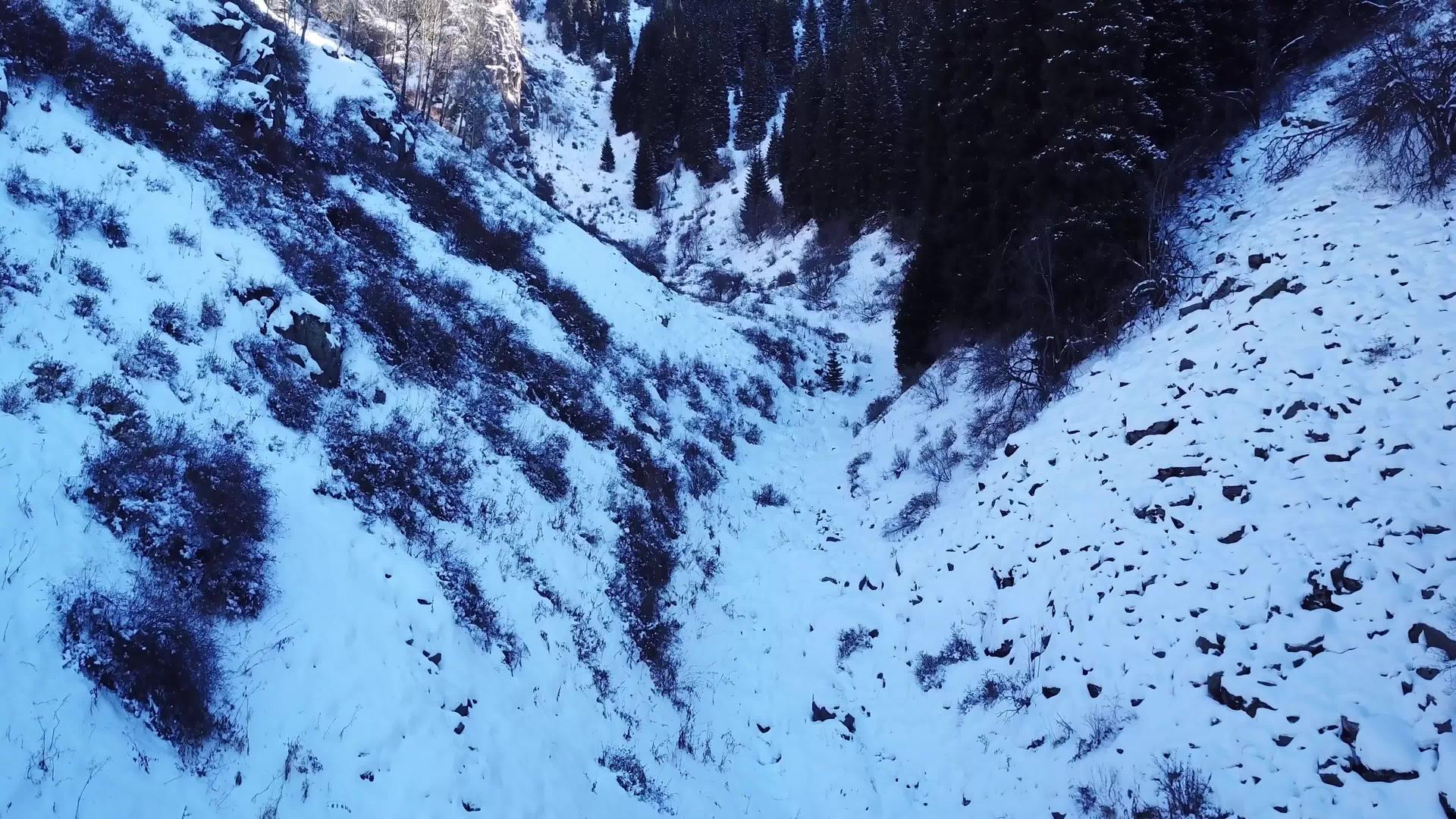 雪峡谷中高大的森林树木和岩石视频的预览图