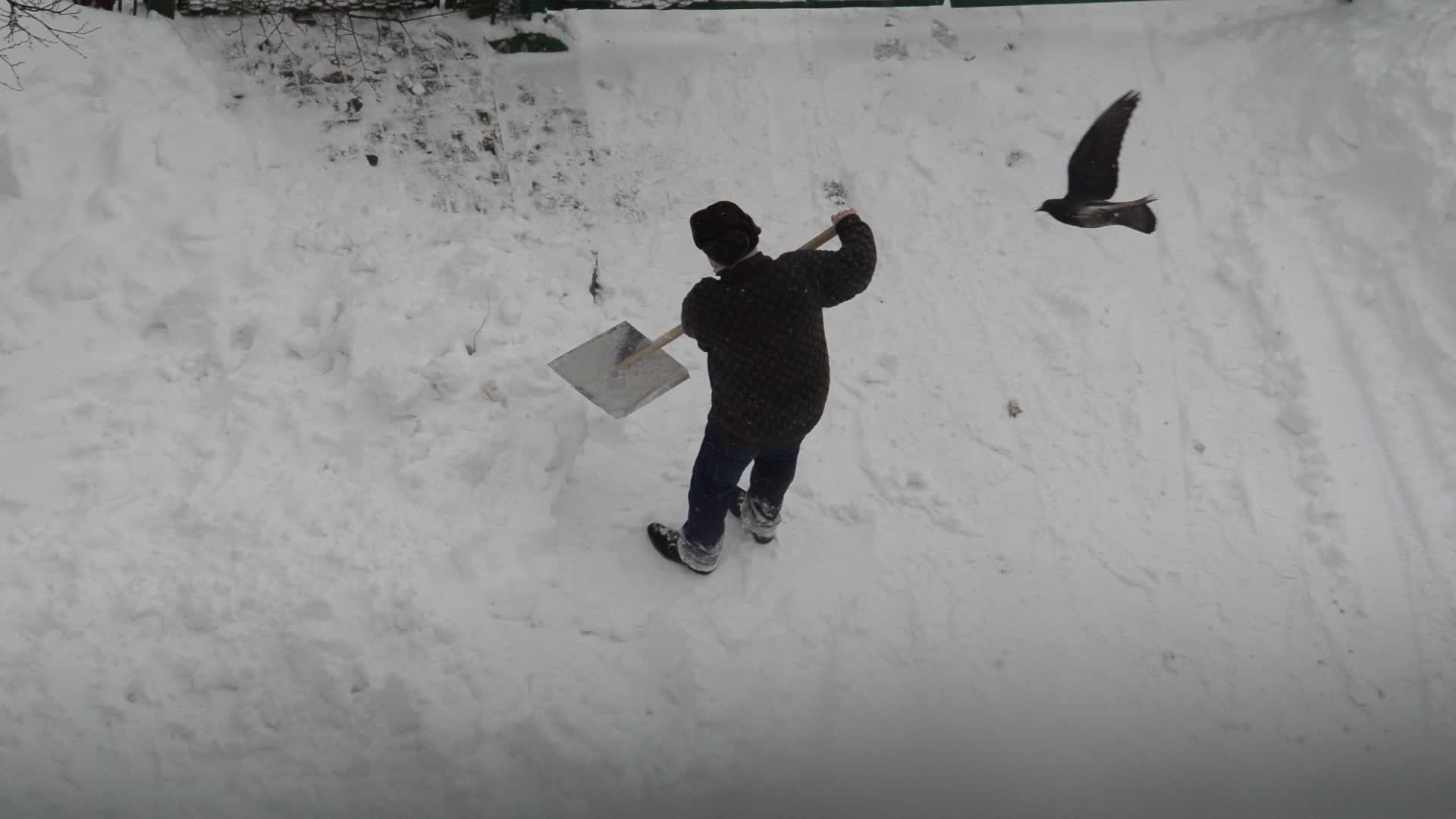 一个人用铲子捡起院子里的雪视频的预览图