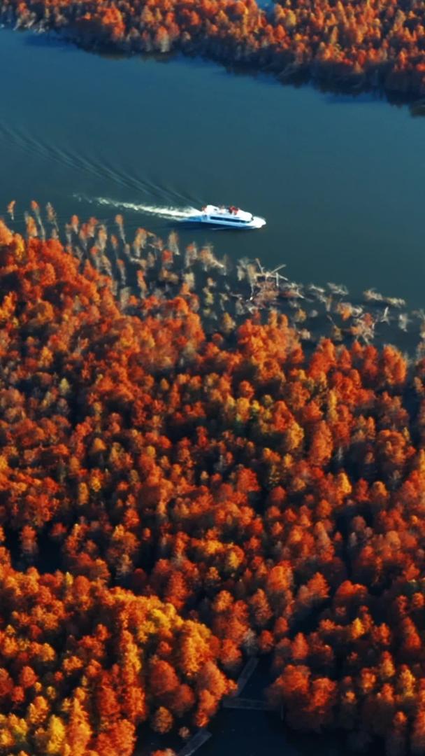 航空游艇穿过水面视频的预览图
