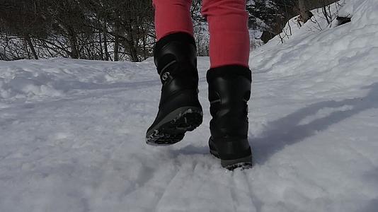 在雪中行走视频的预览图