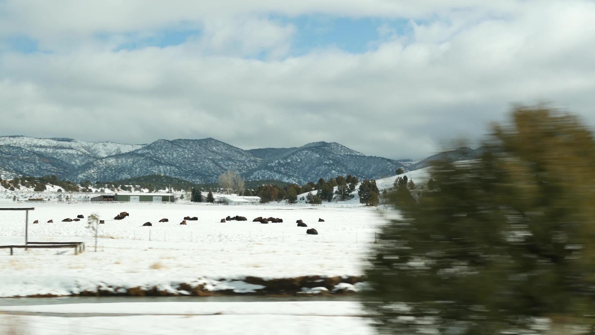 从锡安到布莱斯峡谷的冬季旅行视频的预览图