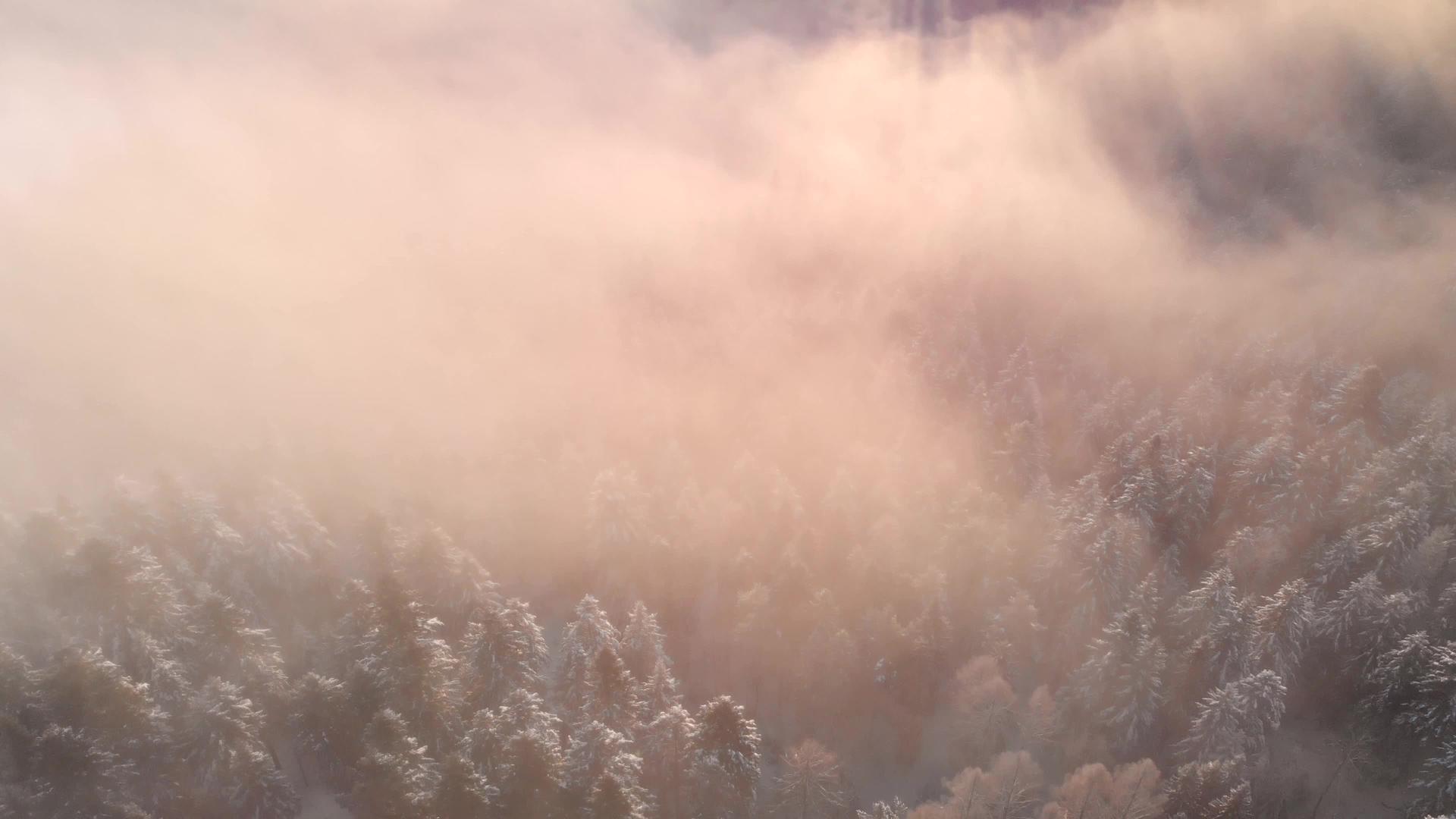 冬天在雪林里日出视频的预览图
