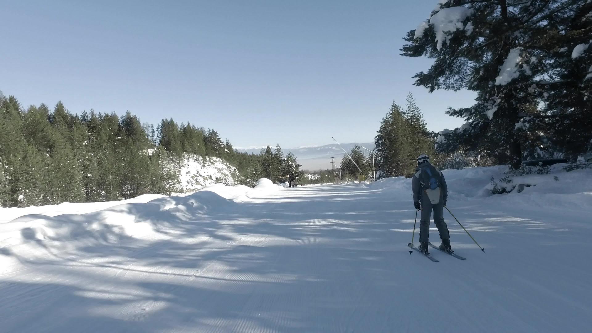 在松树滑雪山坡上滑雪视频的预览图