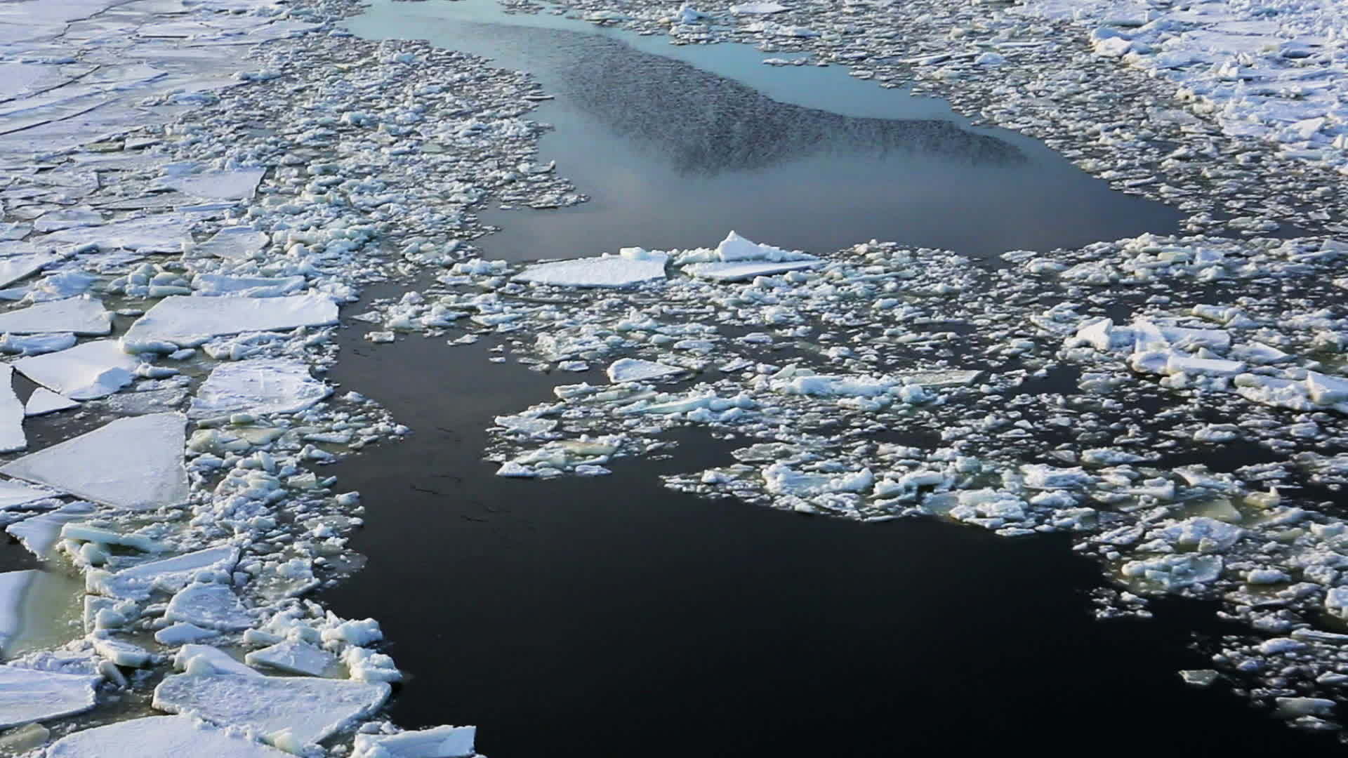 咸海中的冰花视频的预览图