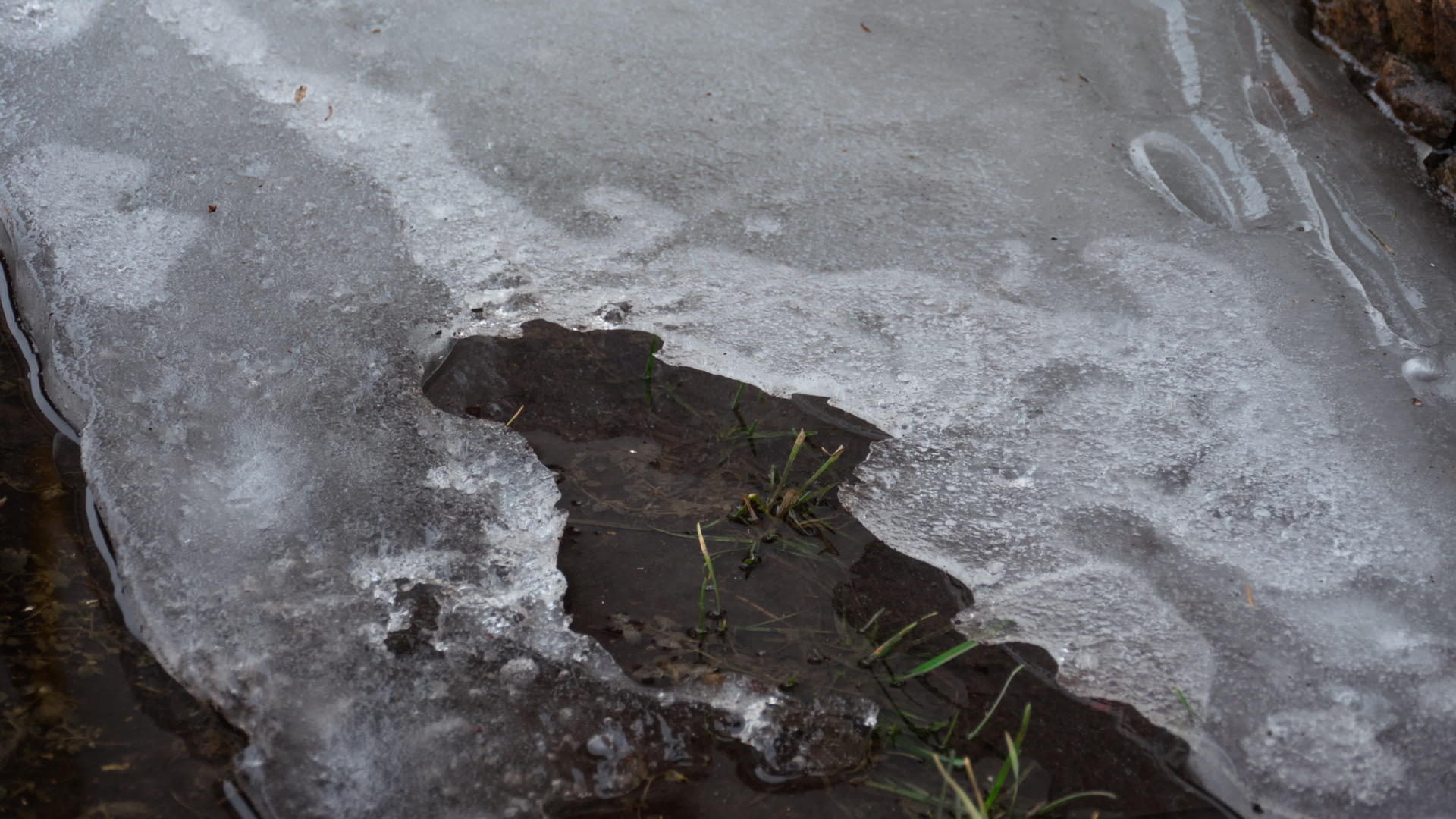 冰在水坑里融化时间折叠视频的预览图