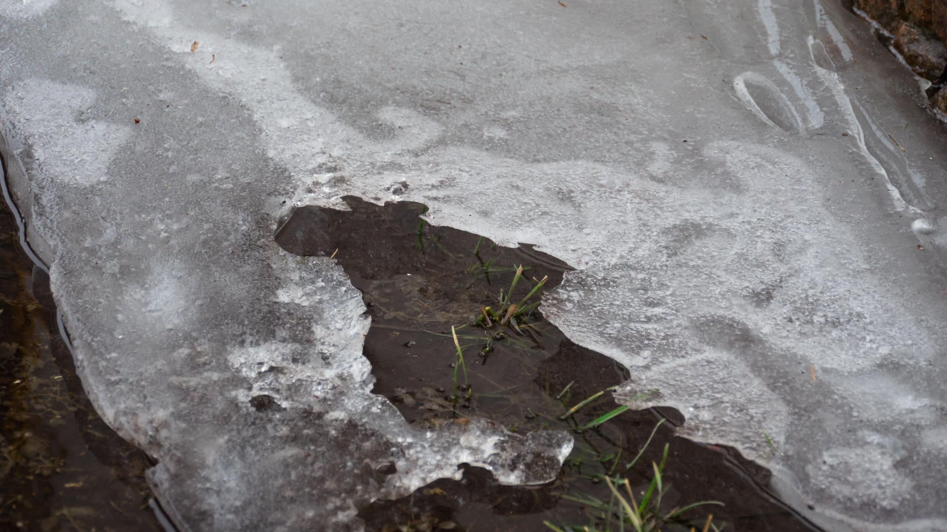 冰在水坑里融化和折叠视频的预览图