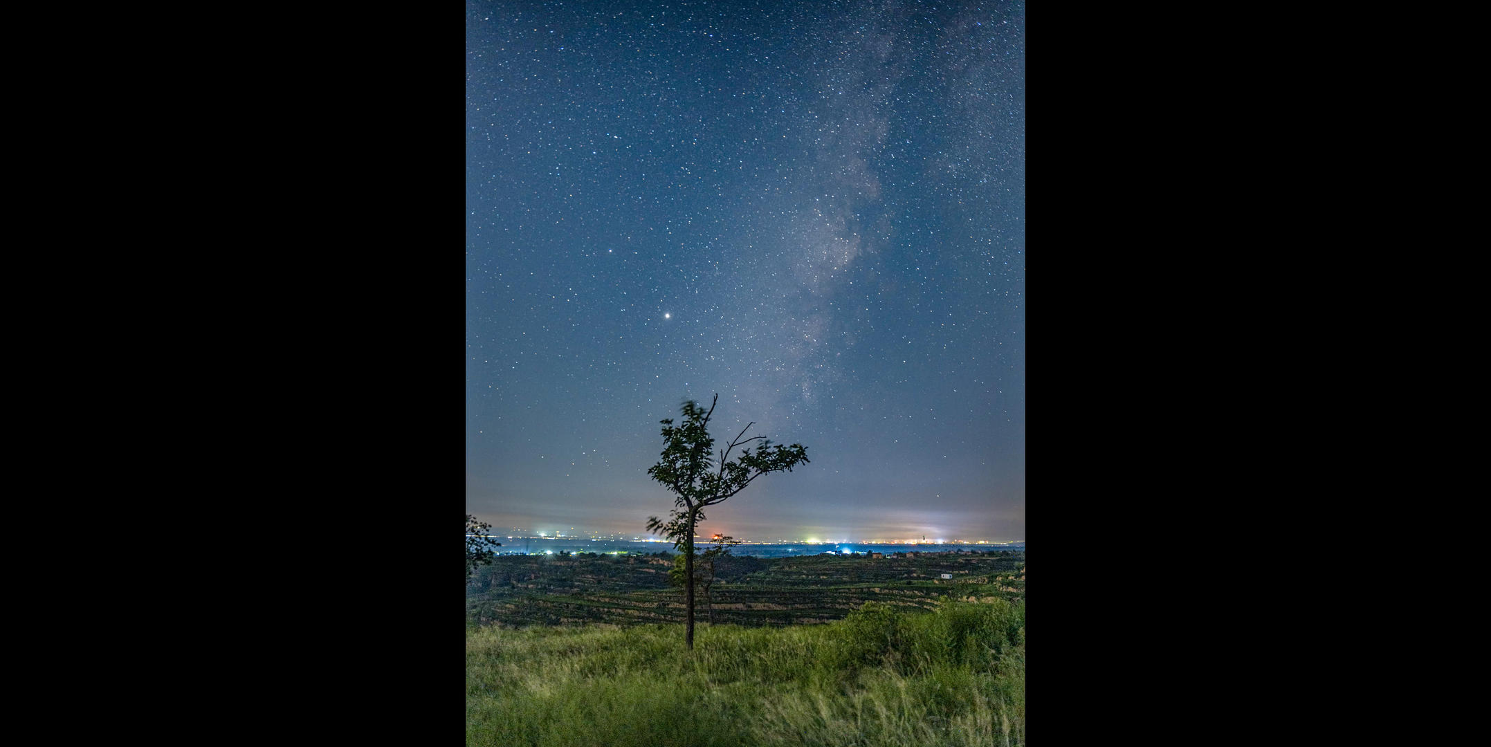 8K树木前景银河竖屏视频的预览图