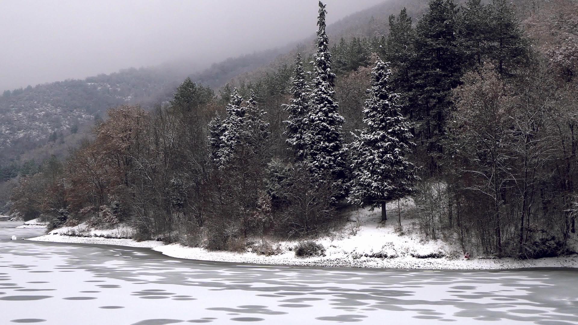 被雪覆盖的冰冻湖泊和美丽的木林的全景视频的预览图