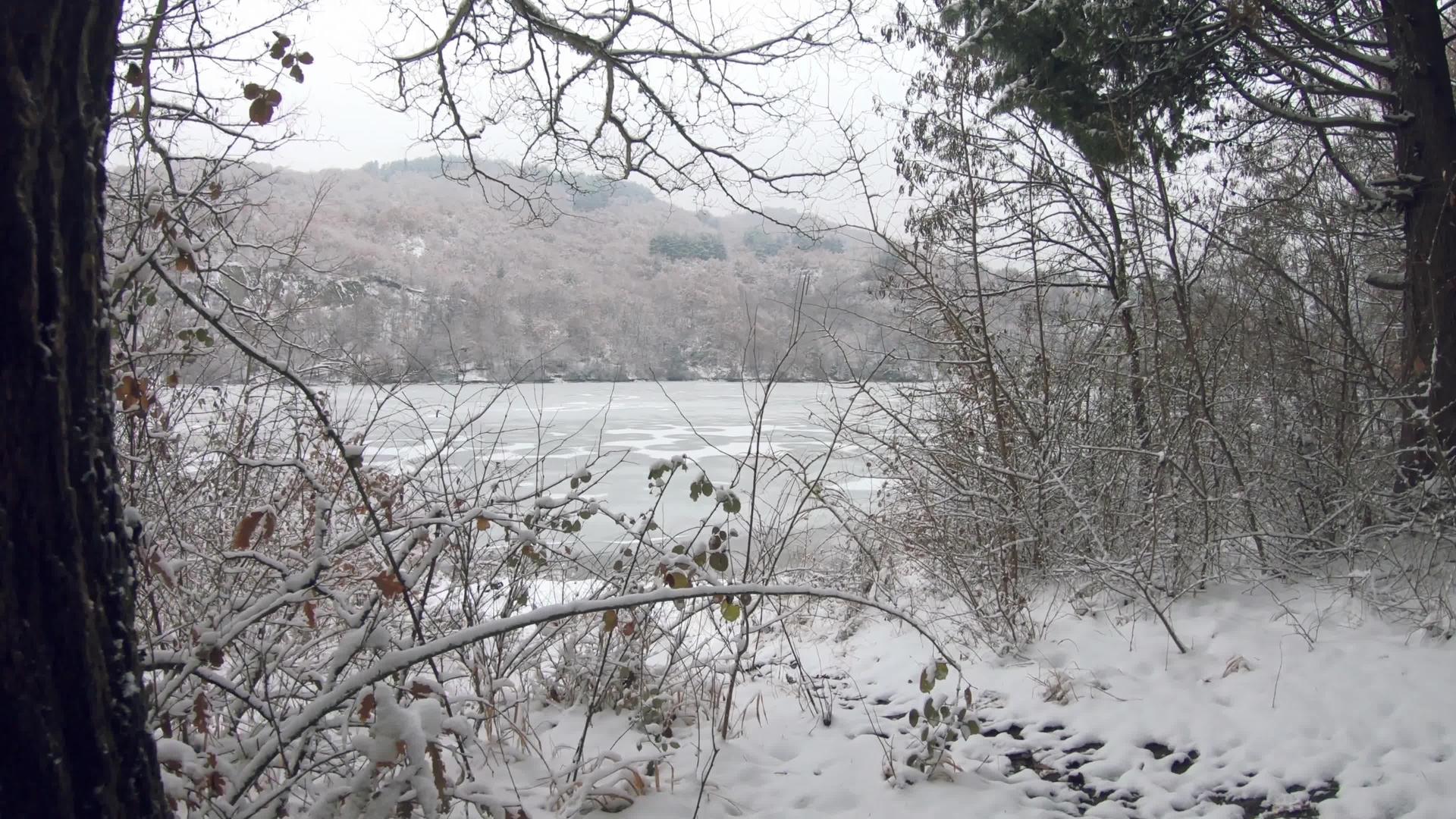 令人惊叹的冰冻湖风景穿过树枝还有雪冬天的风景视频的预览图
