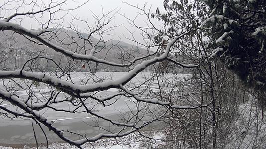 冰冻的湖泊被雪覆盖视频的预览图