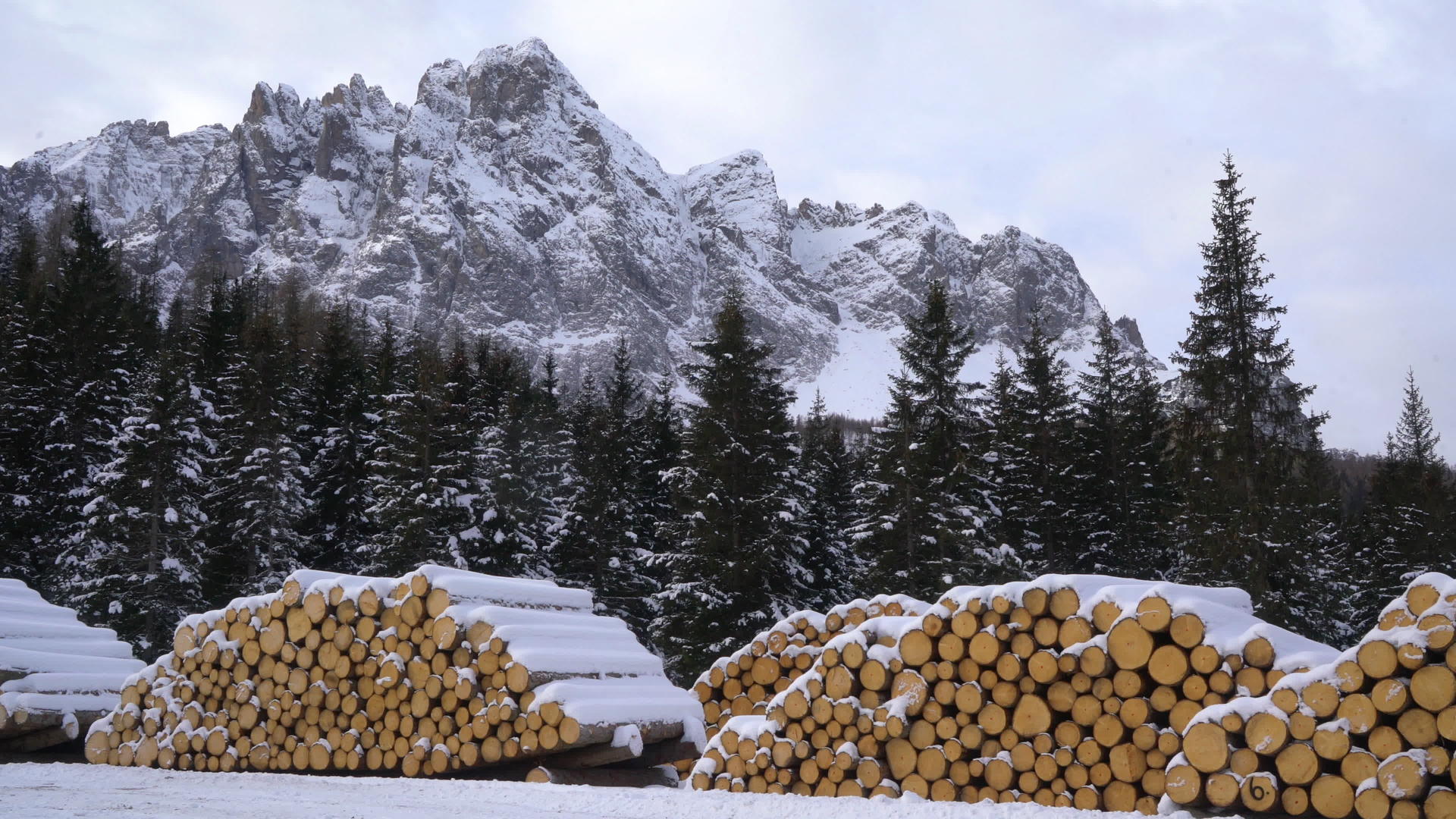 雪山下木柴堆放点视频的预览图
