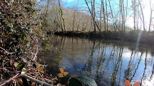 凉爽的河流在树木之间 在冬天视频的预览图