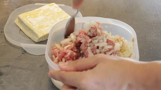 饺子混合了猪肉和洋葱视频的预览图
