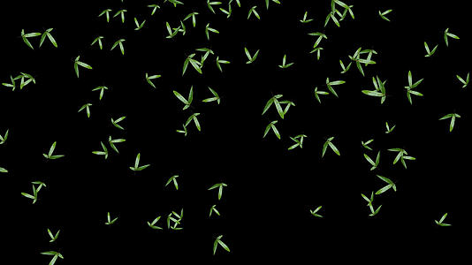 竹叶飘落动画视频的预览图