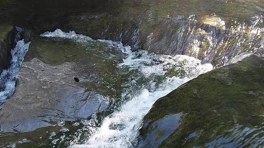 慢慢运动的视频水流通过岩石在小溪视频的预览图