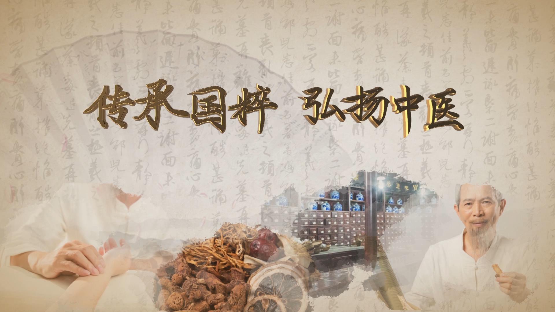中国风传统中医宣传片片头ae模板视频的预览图