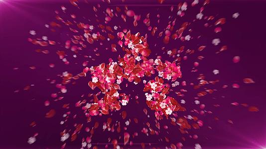 10秒炫彩花瓣粒子倒计时视频的预览图