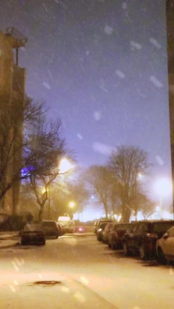 夜幕降临昏暗的路灯大雪纷飞视频的预览图