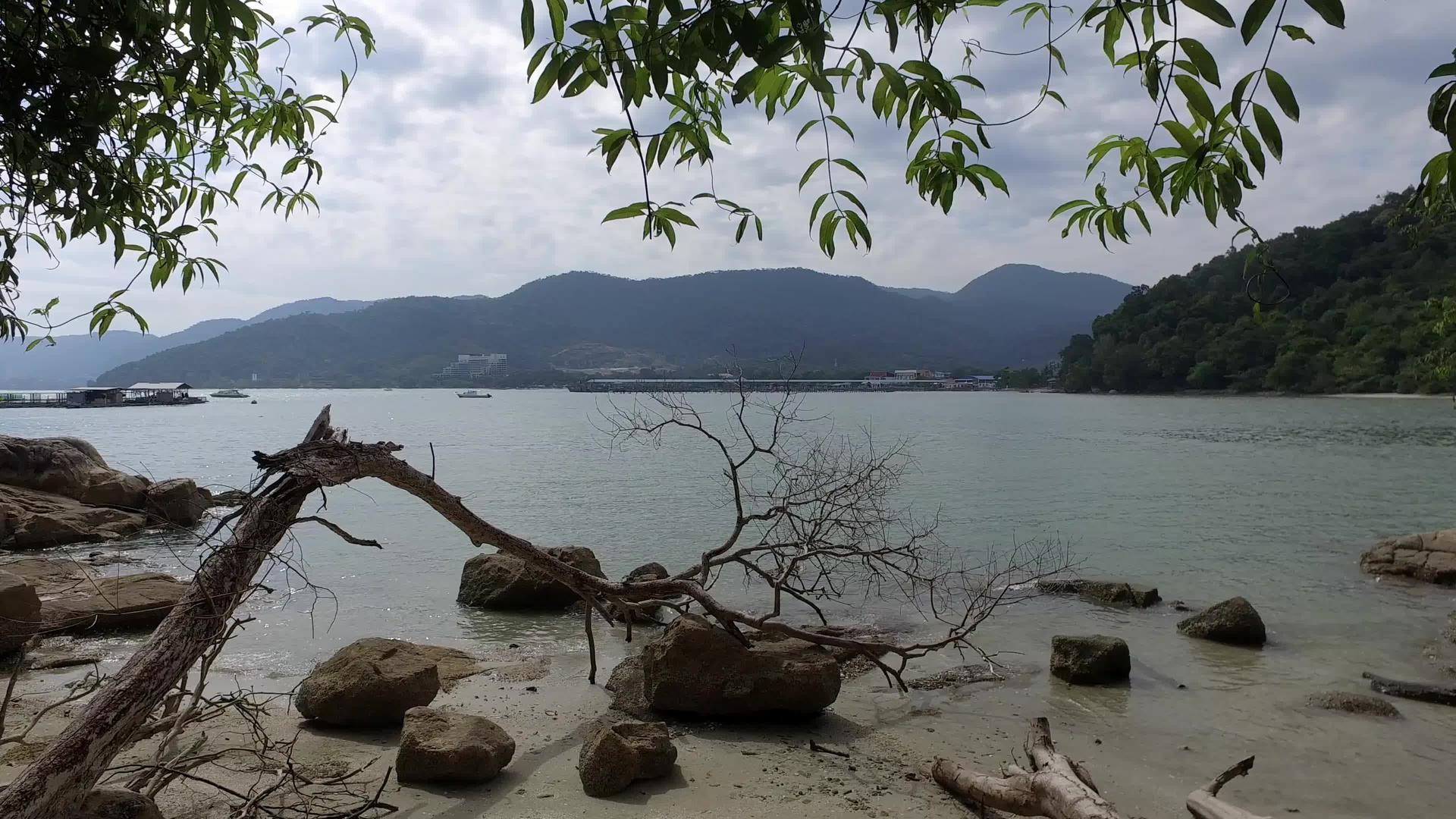 从森林到海洋的水平平移视频的预览图