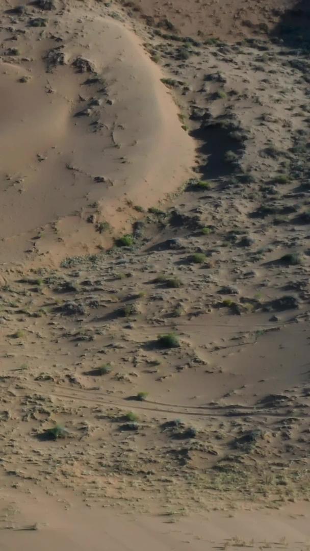 在腾格里沙漠中飞驰的航拍越野车视频视频的预览图