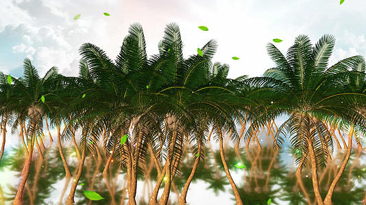 4K唯美的椰树背景素材视频的预览图
