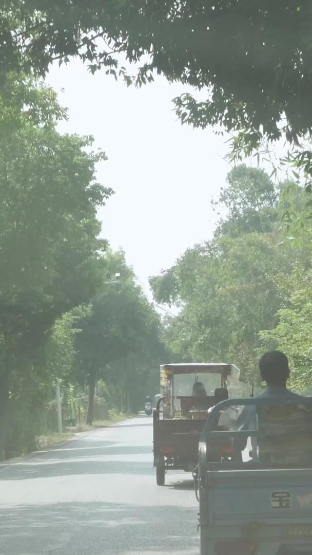早晨丛林乡村小道骑着三轮车赶到市场上的商贩视频的预览图