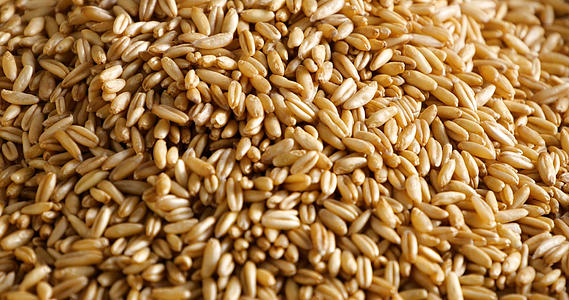 4K粗粮燕麦米五谷杂粮粮食视频的预览图